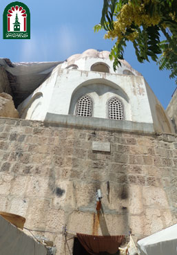 التربة النجمية